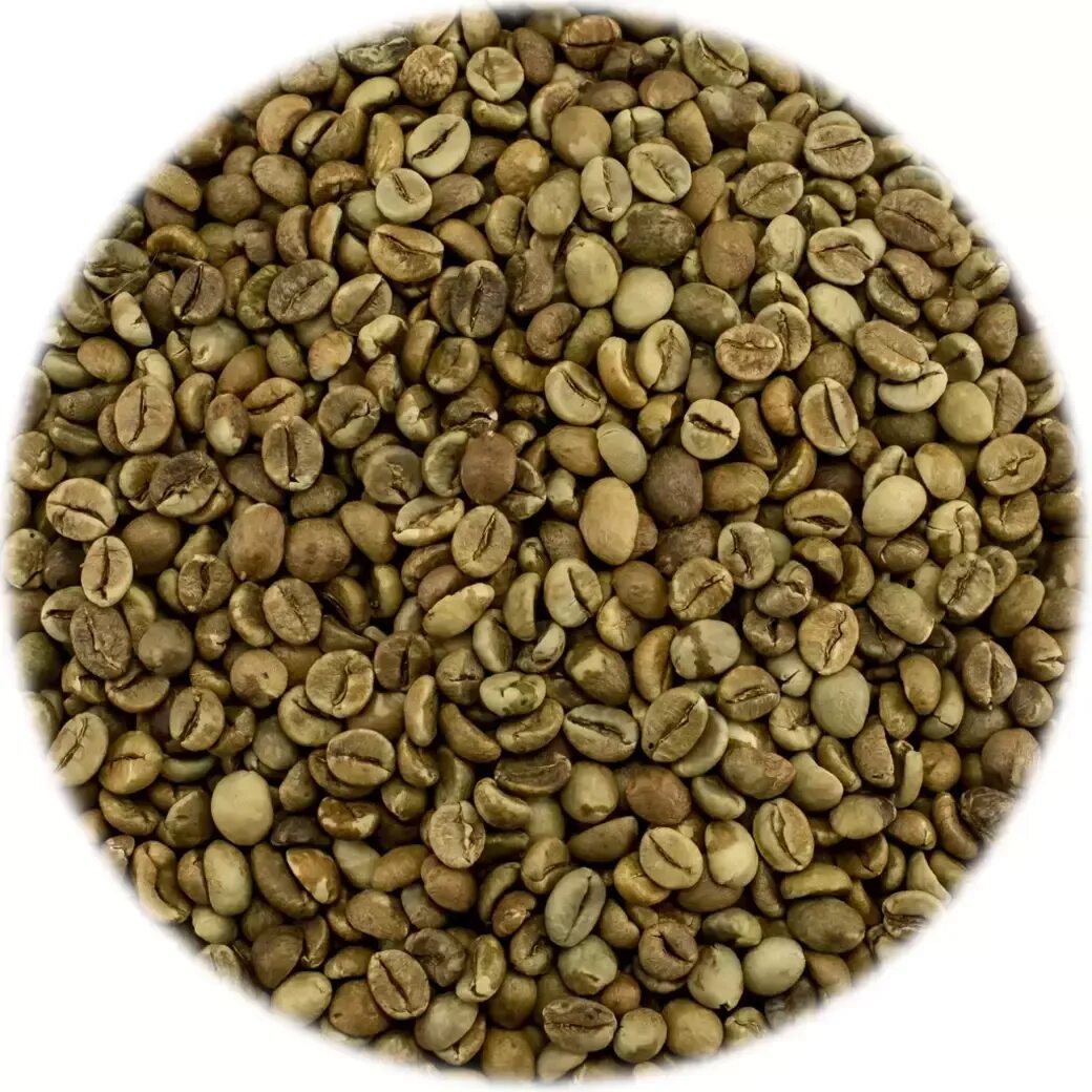 Робуста 1 кг. Зеленый кофе robusta. Кофе "Робуста Уганда" зеленый. Кофе зеленый Робуста, 1 кг.. Кофе Робуста Уганда.