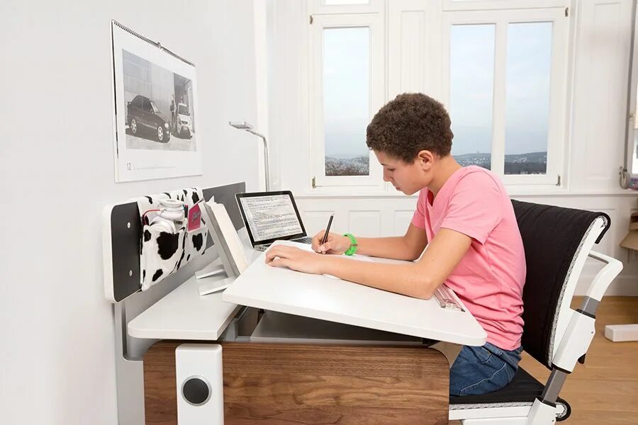 Эстетичный стол для учёбы. Фриланс. Дрим деск геймера. Ask desk. Ask desk.