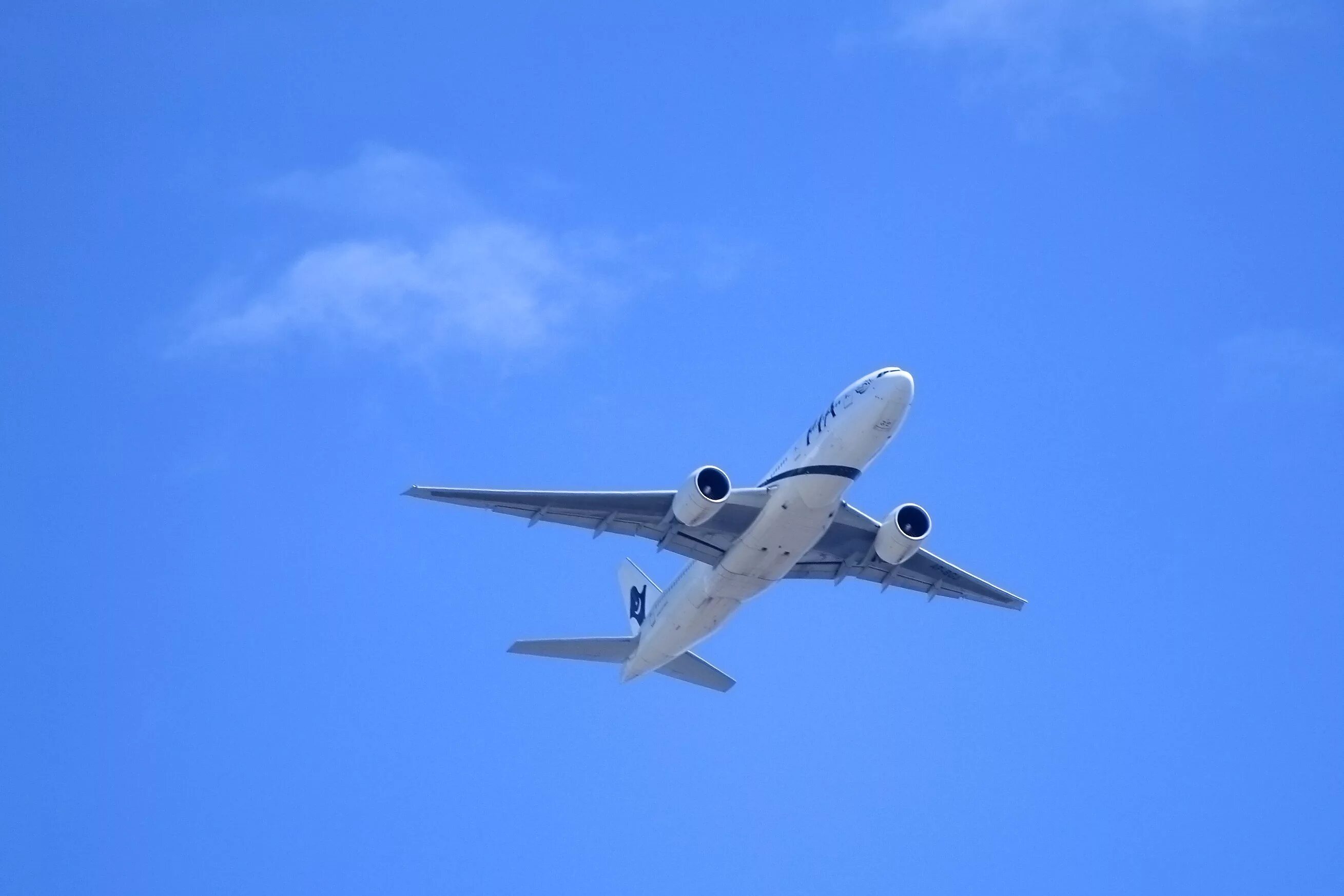 Flying airplanes. Самолет летит вид снизу. Летающий самолет вид снизу. Самолет в воздухе. Самолет в небе.