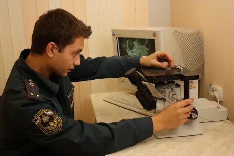 Руководитель судебно экспертного учреждения