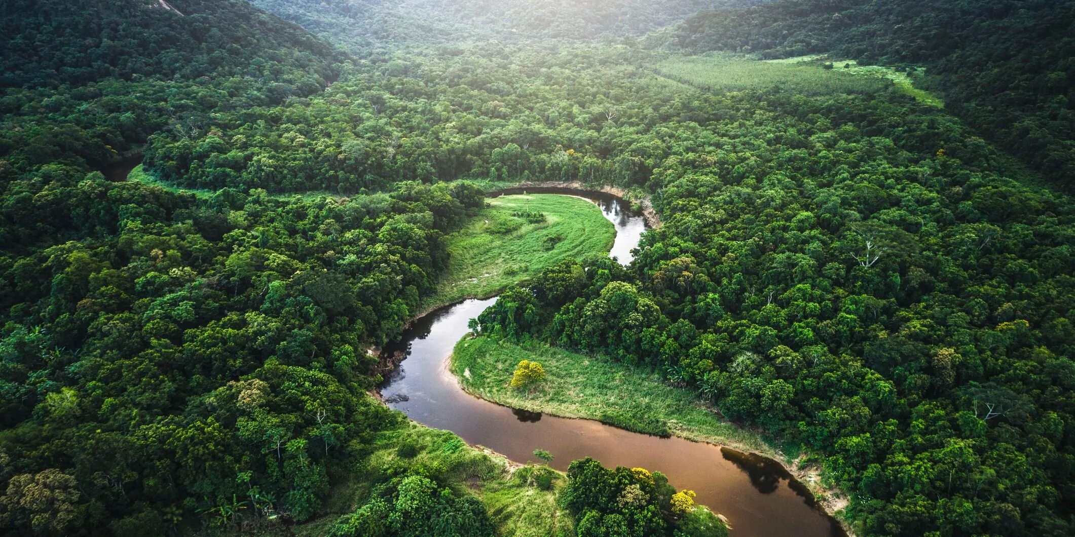 Почвы в реке амазонка. Почвы в реке амазонка