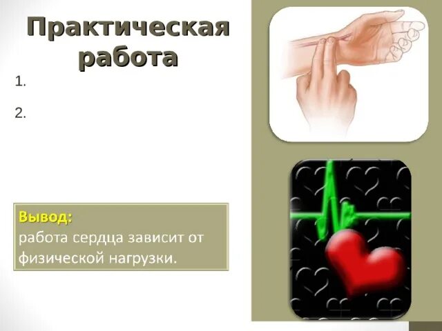Практическая работа измерение пульса. Практическая работа измерение пульса 3 класс окружающий мир. измерение пульса у детей практическая работа.