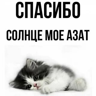 Спасибо солнце