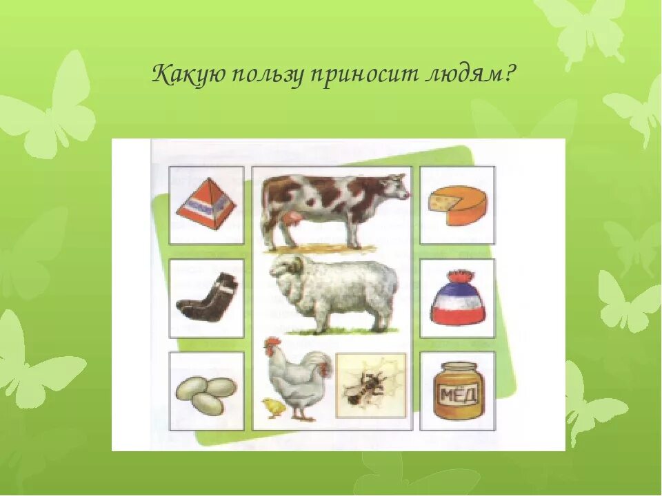 Какую пользу приносит процесс