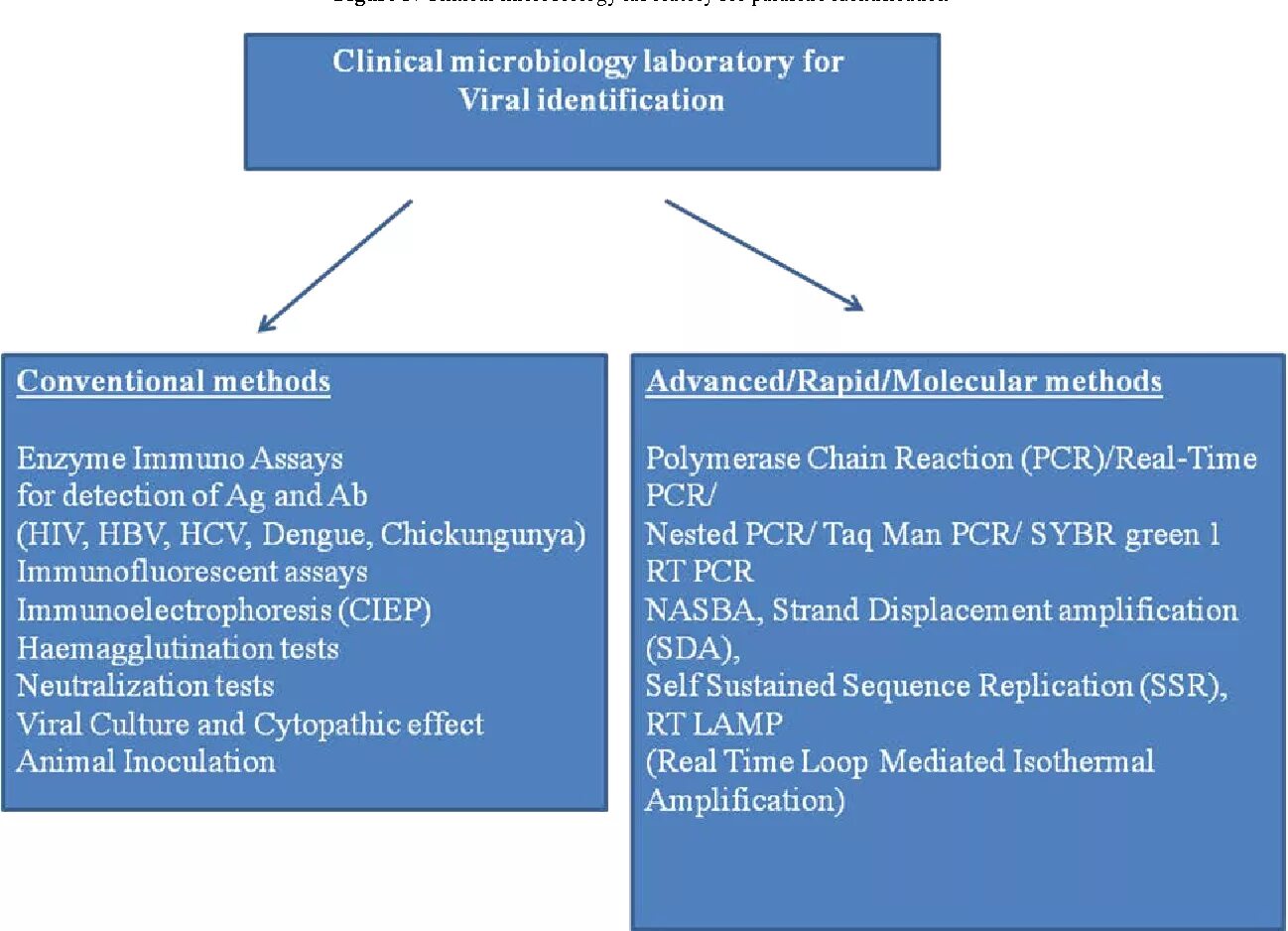 Diagnostic methods. Methods of microbiology. methods of microbiology lab. journal of clinical microbiology. diagnostic method.