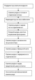 Технологическая схема убоя и переработки свиней в шкуре