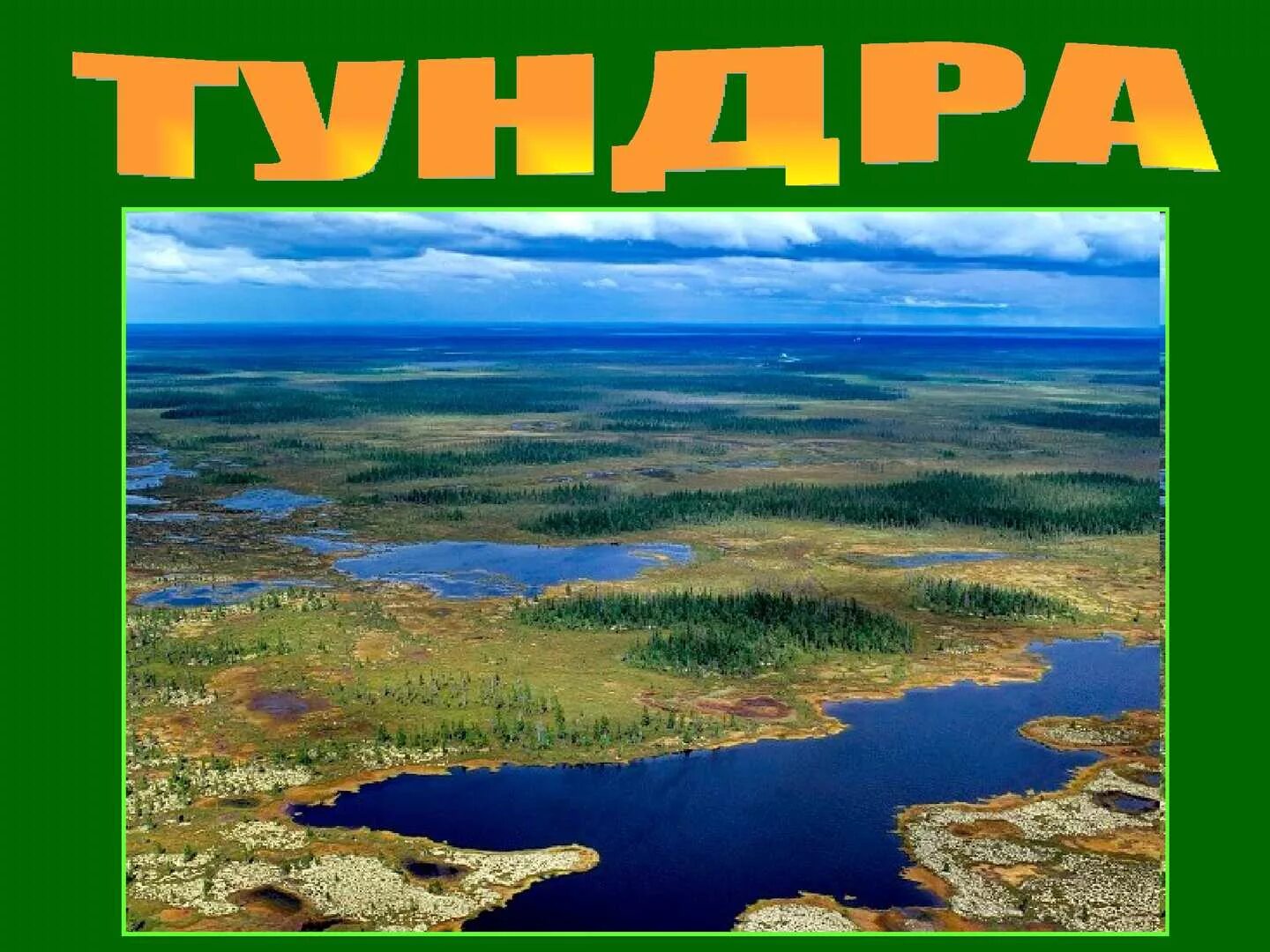 Окружающий мир зона тундра. Тема тундра. Тундра для дошкольников. Тундра картинки для презентации. Тундра слайд.