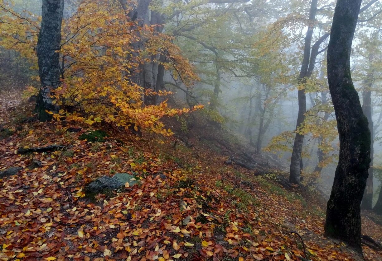 Железноводск октябрь. Железноводск в октябре. Железноводск осенью. Кисловодск осенью. Золотая осень Железноводск.