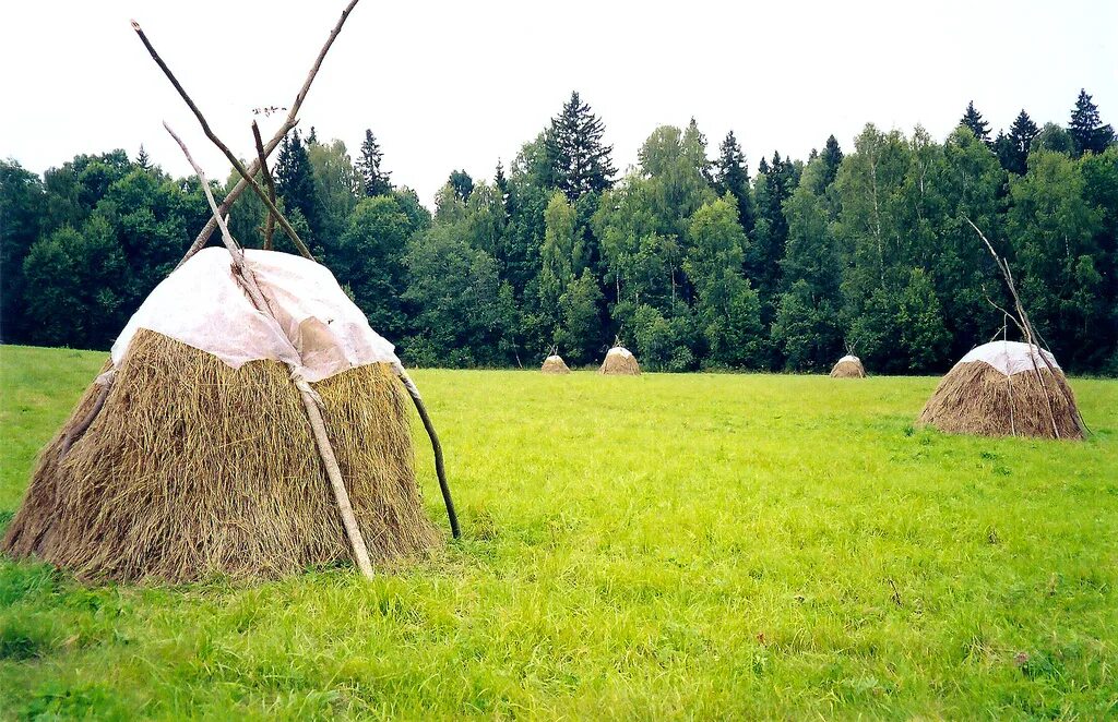 Сено правил. Скирда омёт копна. Стог сена. Сенокос копна. Копна из сена.