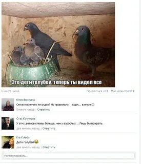 Приколы про голубые