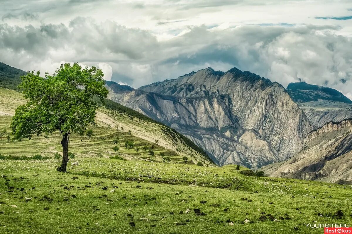 Горы кавказа махачкала. Горы кавказа дагестан. Высокогорный гуниб дагестан. Достопримечательности дагестана гунибская крепость. Село кахиб дагестан.