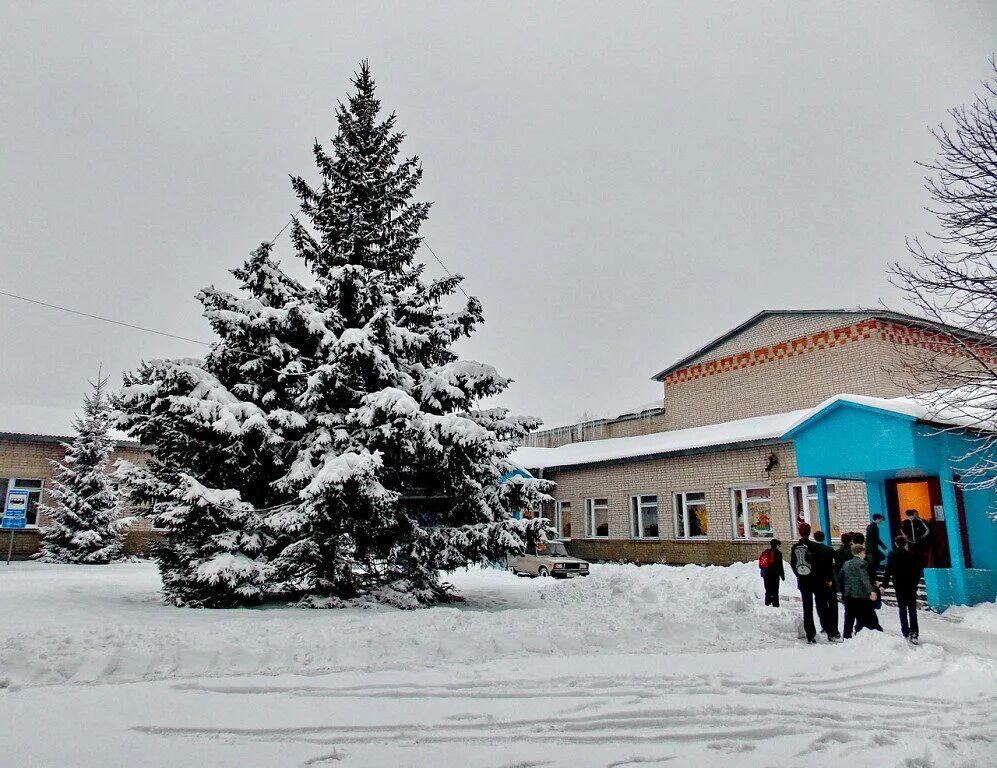 Погода г усмань. Село новая Усмань Воронежская область. Новая Усмань зима. Липецкая область город Усмань зима. Усмань Воронежская область зима.