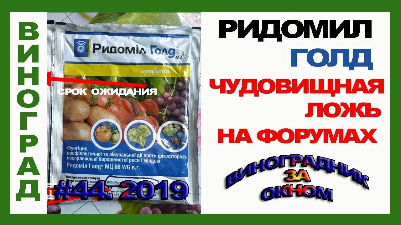 Ридомил срок ожидания. Ридомил голд. ридомил голд для винограда срок ожидания. ридомил голд мц. ридомил голд срок ожидания.