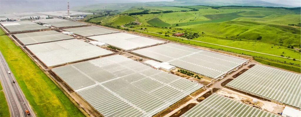 логотип ао агрокомбинат «южный». агрокомбинат южный адрес. зао «агрокомбинат “южный”». агрокомбинат южный адрес. агрокомбинат орел.