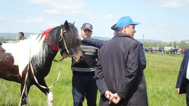 Алькино самарская область. Деревня Алькино Салаватский район Камалетдиновы. Давлетшины из Алькино. Школа Алькино директор.