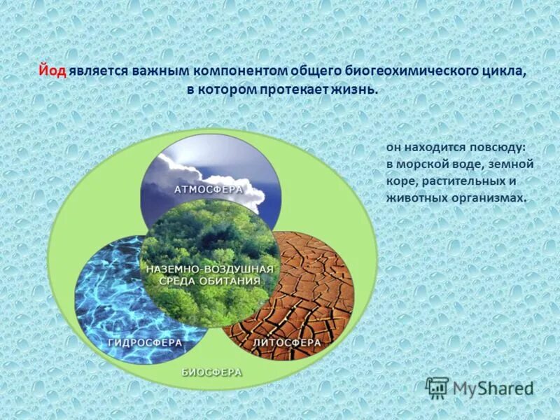 Океан йод. Соединения йода в природе. Нахождение йода в природе. Распространение йода в природе. Круговорот йода в природе схема.