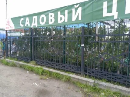 Мир роз 76