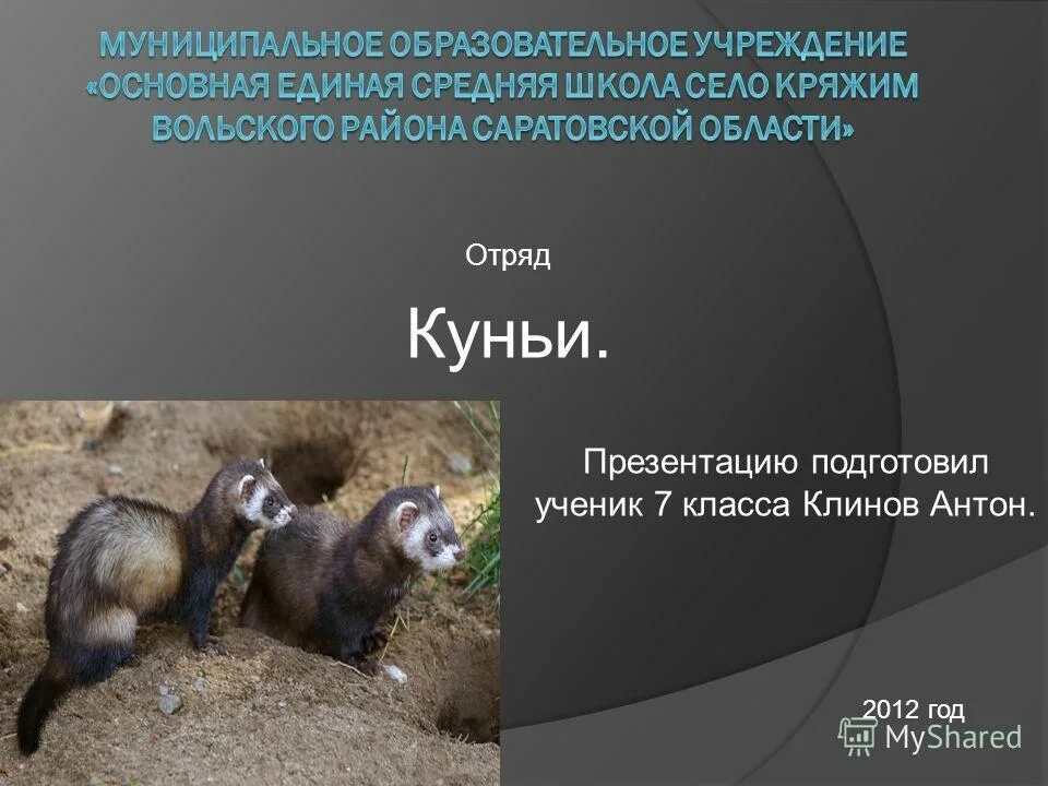 Млекопитающие 8