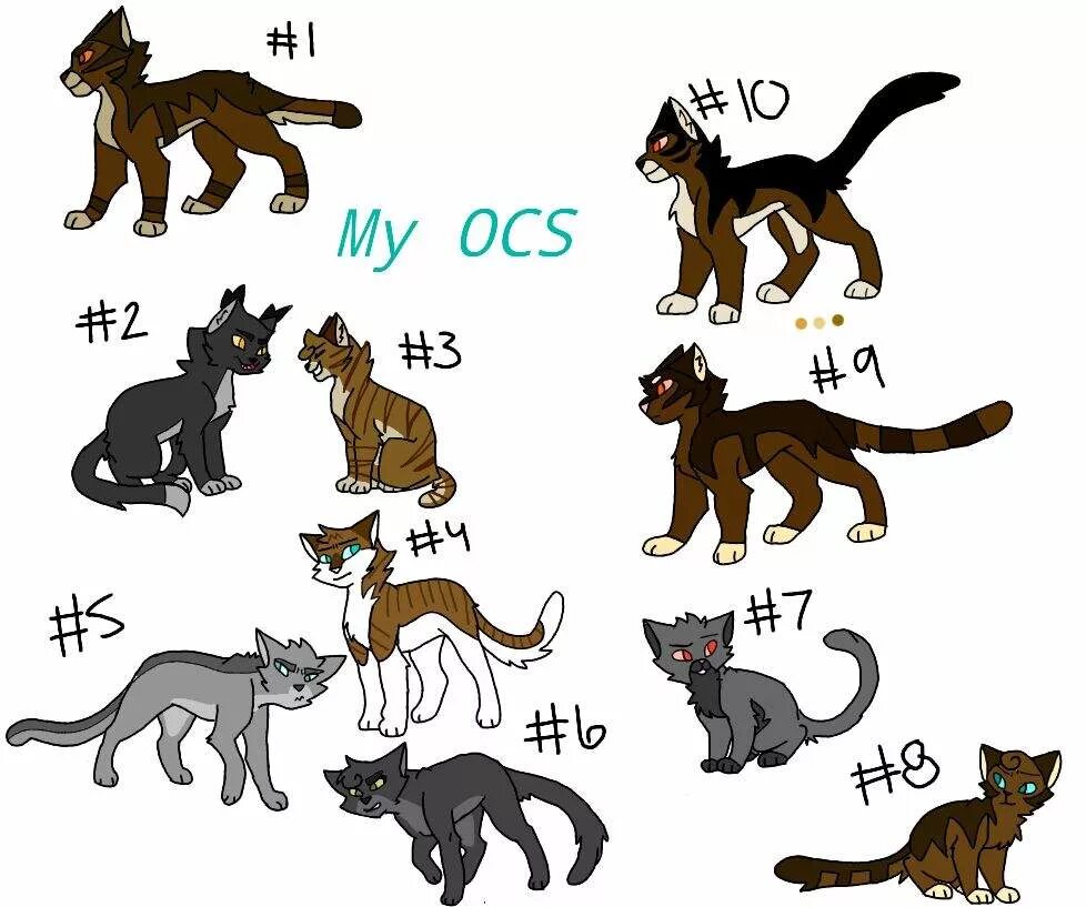 Warrior cats clans. Warrior Cats OCS. Warriors OCS!. Warrior Cats OC.