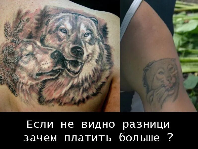 Всегда найдется дешевле