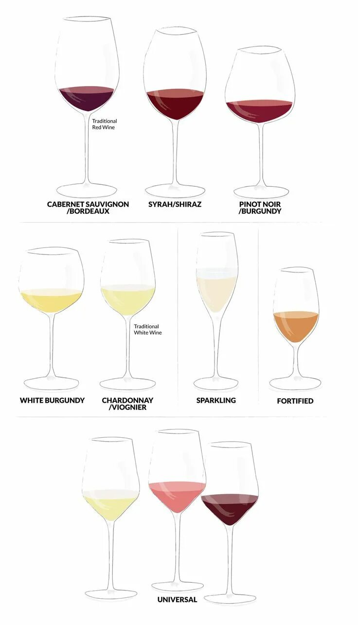 Как выглядят бокалы для красного вина Types of wine glasses Types of wine glasses, Types of wine, Wine glasses