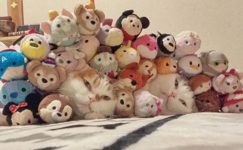 Ребенок в куче игрушек. Найди кота среди игрушек. Много разных игрушек. Настоящие игрушки. Среди игрушек есть.