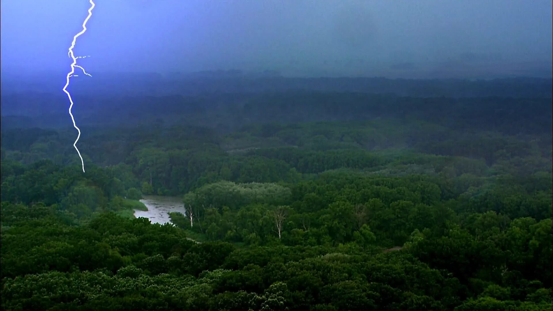 Большой дождь гроза. Тропическая гроза. Молния в лесу. Гроза и дождь. Гроза в лесу.
