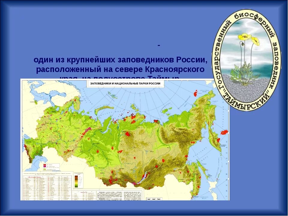 Карта заповедников. Карта заповедников России. Природные заповедники России на карте. Крупнейшие заповедники России.