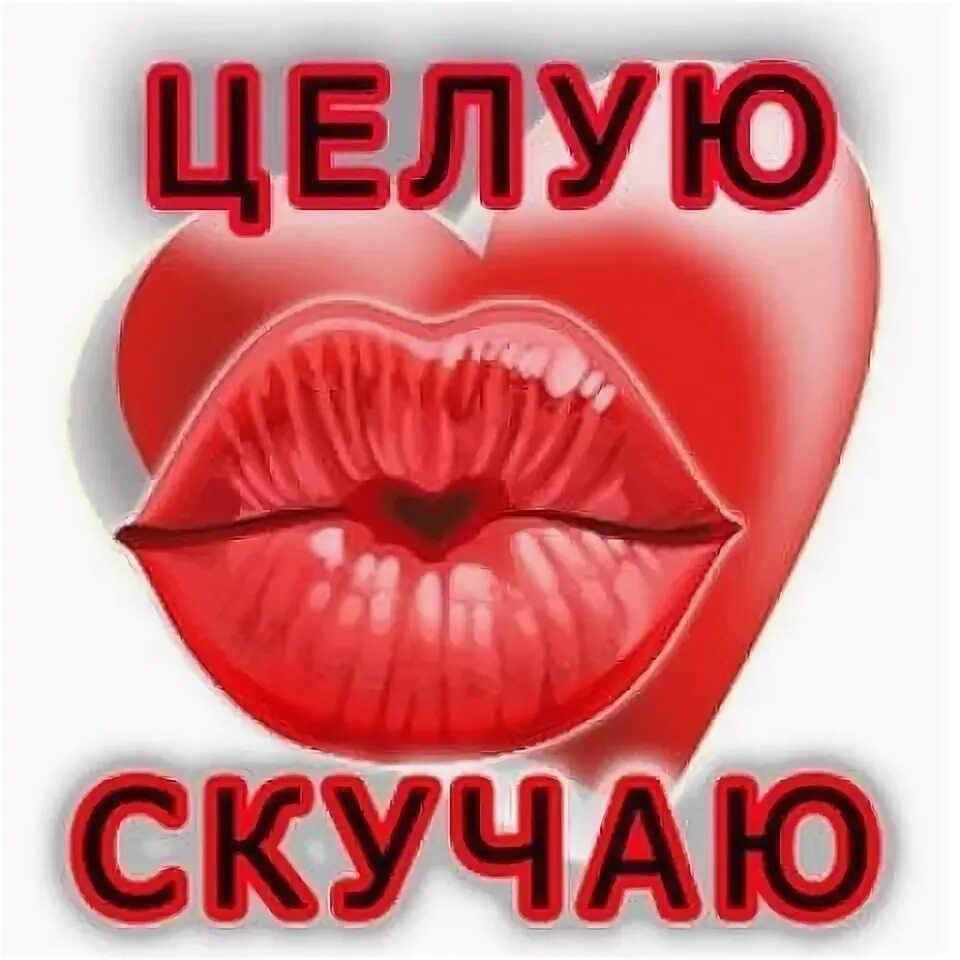 Вацап любимой