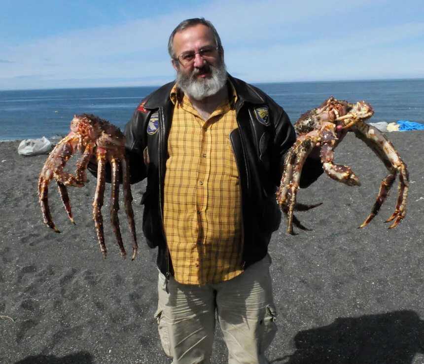 Крабы в сочи. Краб Краснюк черное море. Крабы Охотского моря. Самый большой Черноморский краб. Черноморский каменный краб.