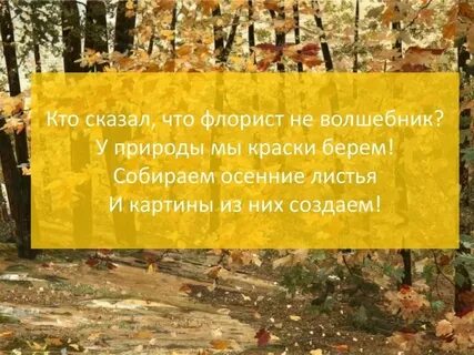 День собирания листьев 15 октября