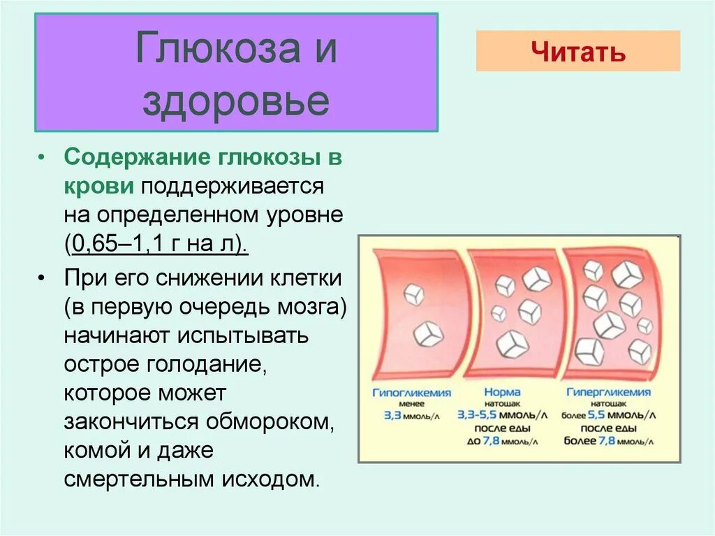 Клетки б укорачивание. Глюкоза польза для организма. Глюкоза здоровье. Глюкоза польза. Передача здоровье Глюкоза.