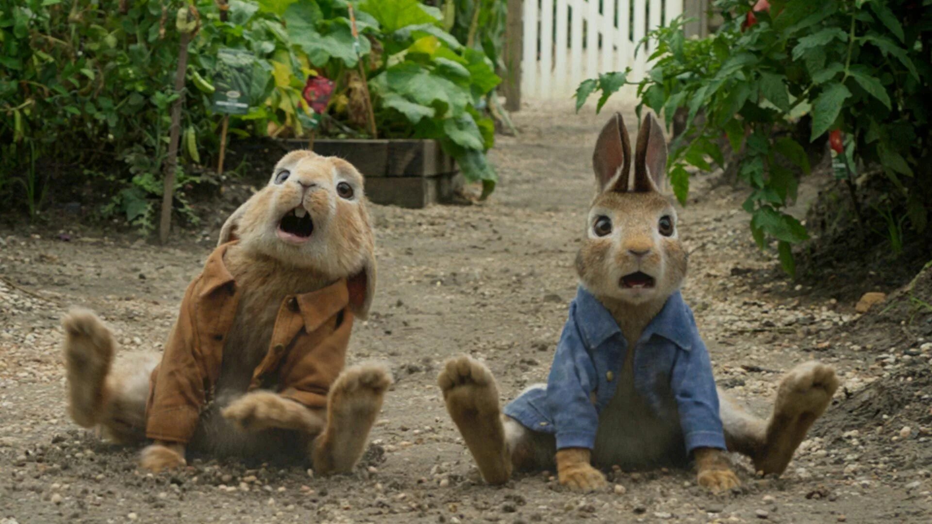 Rabbit movie. Кролик Питер (2018) Peter Rabbit. Кролик Питер кадры.
