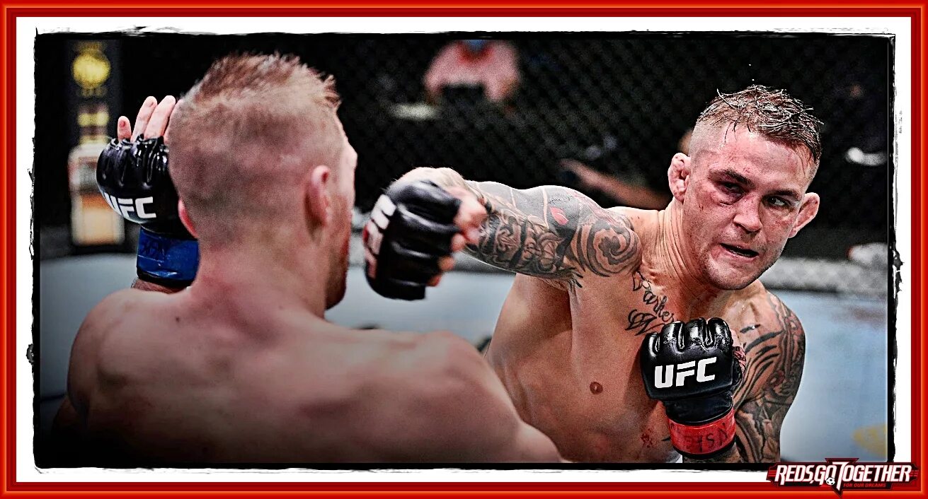 Ufc tony ferguson. Мма самый жесткий. Боец деметриус джонсон. Мма самый жесткий. Мма самый жесткий.