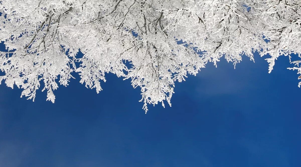 Счастье хрупкое такое картинки. Зимние статусы. Зима цитаты красивые. Красота зимы. Зимняя сказка со смыслом.