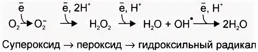 Пероксидный радикал
