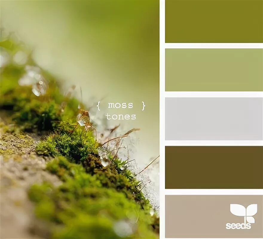 Сочетание цветов зеленый болотный Color palette examples Emilia Ohrtmann Зеленые цветовые схемы, Зеленый, Цвета
