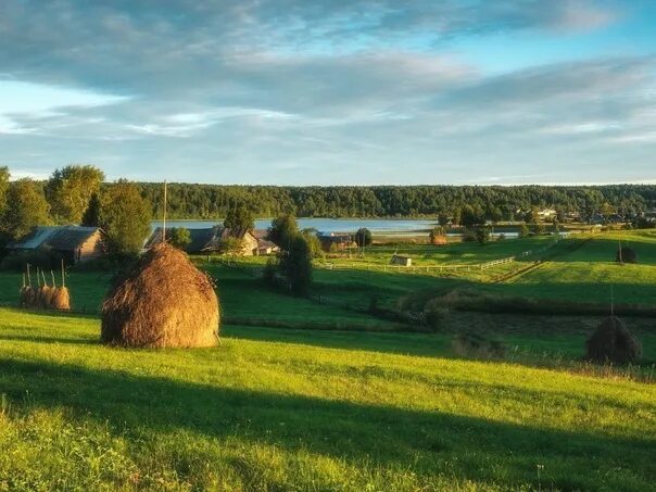 Фото парк в деревне Фото: Парк ручеек, парк культуры и отдыха, Москва, поселение Марушкинское, дерев
