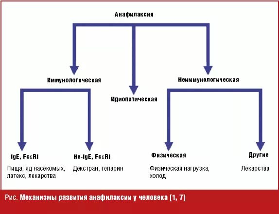 Анафилактический ШОК механизм развития схема. Механизм развития анафилаксии. Механизм анафилактического шока схема. Анафилаксия стадии анафилаксии схема. Анафилактический шок патогенез