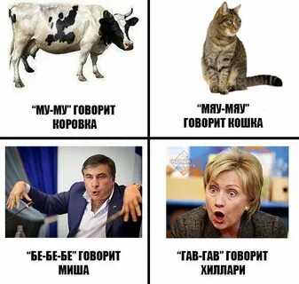 Включи кошки разговаривающие