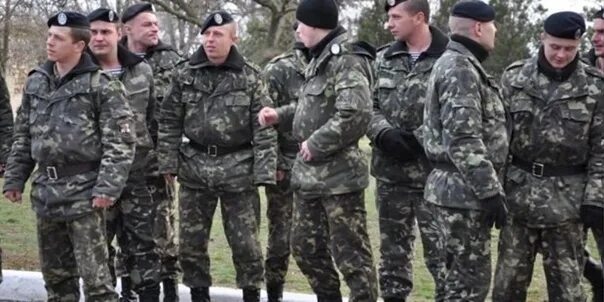 Украинские морпехи назло Порошенко надели черные береты Новости мира Известия 24