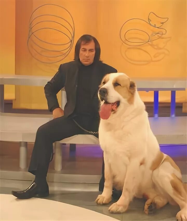 Иншаков ркф. Александр иншаков собаки. Президент ркф иншаков александр. Александр иншаков питомник. Президент ркф иншаков.