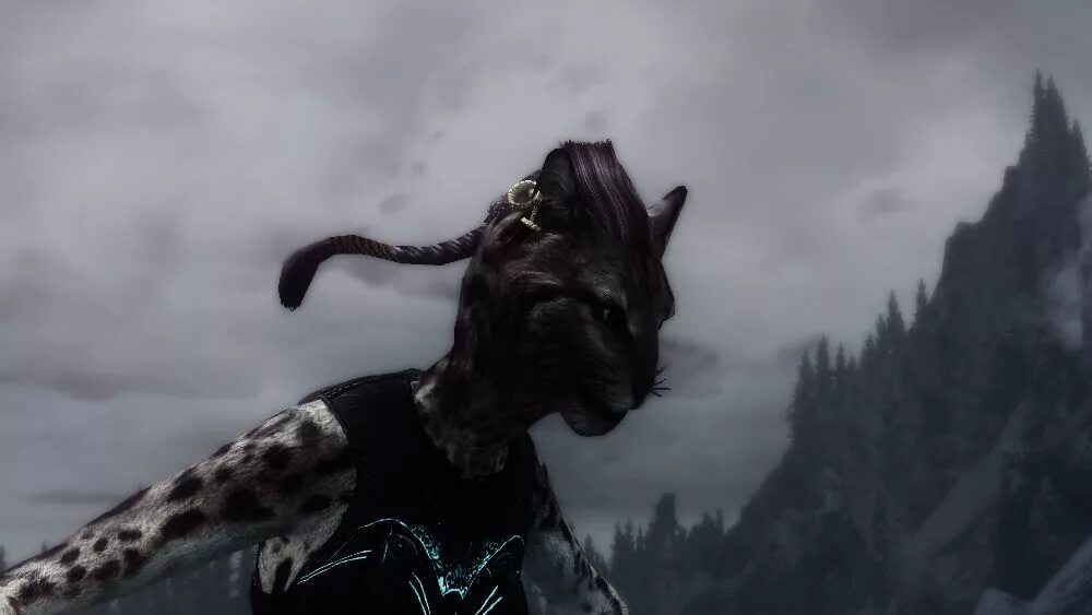 Skyrim se physics extension