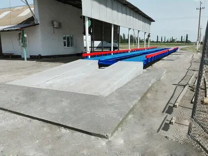 Весы элеватора