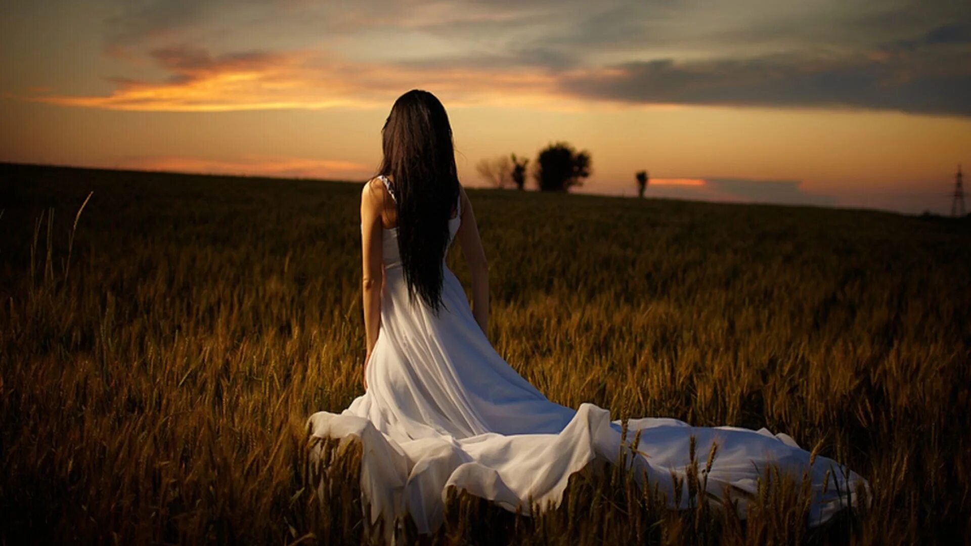 Фото женщин вечером. Девушка в длинном платье. Девушка в поле. Девушка с длинными волосами в поле. Девушка в длинном платье со спины.