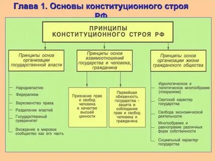 Социально экономические основы конституции