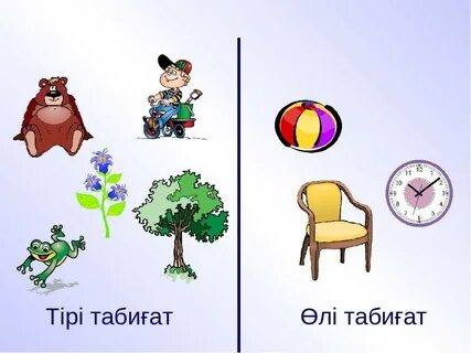 Жас лесбиянкалардың орысша порно видеосы