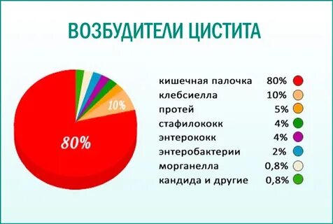 Цистит палочка