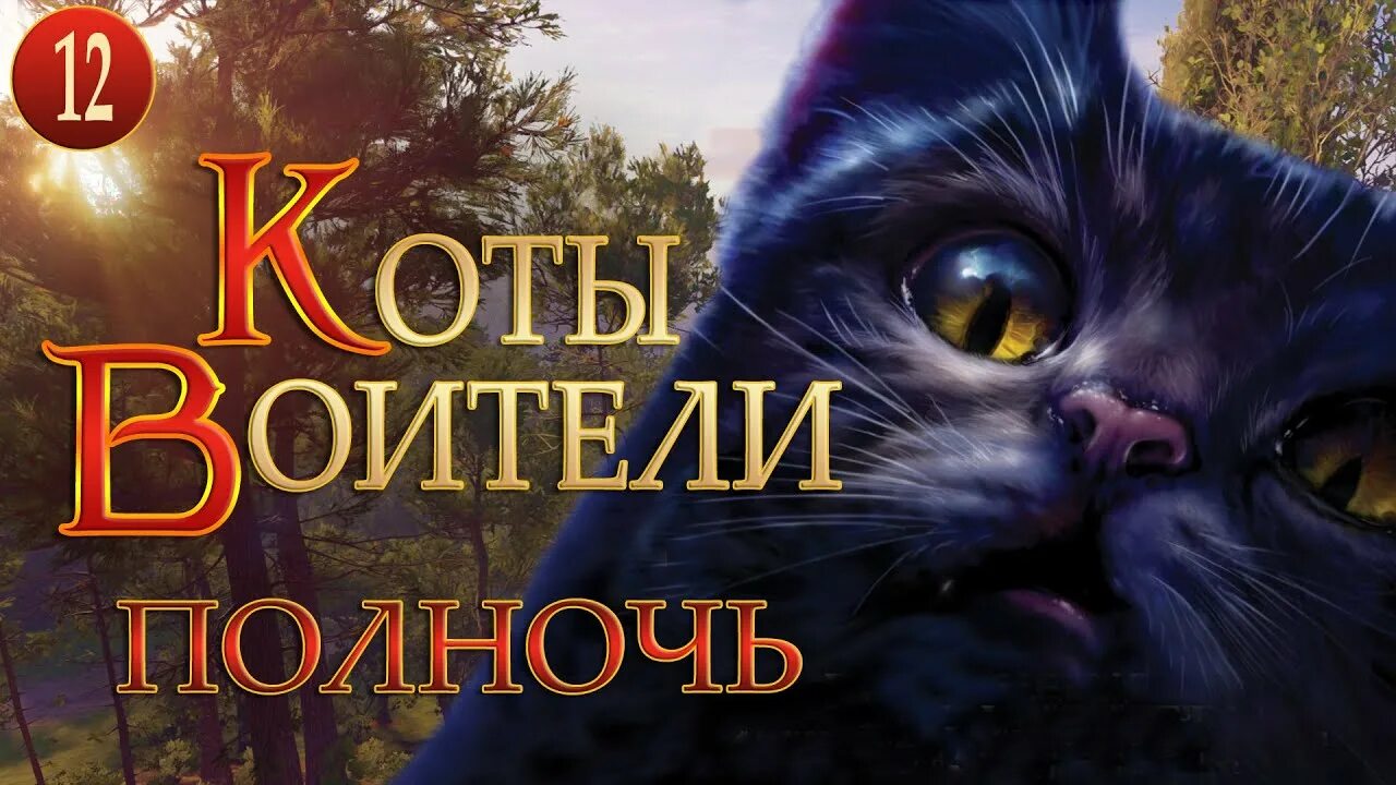 Коты-Воители. Полночь. Восход Луны. Коты Воители книга полночь. Коты Воители полночь барсучиха. Коты Воители полночь.