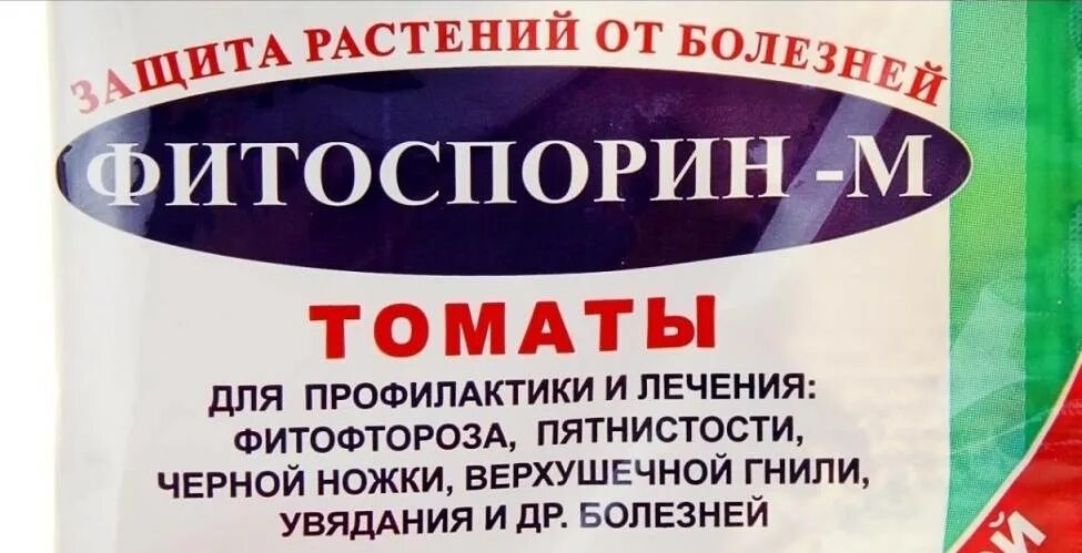 Как использовать фитоспорин для обработки томатов. Фитоспорин для томатов. фитоспорин от фитофторы. фитоспорин для рассады томатов. фитоспорин инструкция по применению для томатов.